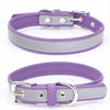 Reflective PU Leather Dog Collar, XXL Purple - CL181K