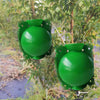 2pcs Plants Growth High Pressure Box Spherical Root Controller Grafting Root Cases, Model: S Green 50mm