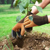 A Pair Latex Gloves with Claws ABS Plastic Gloves for Digging and Planting(Coffee)