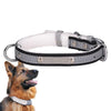 Reflective Dog Collar, Velvet Lined, Black, Large