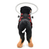 Dog Blind Halo, Red, M (11-18kg) - Anti-Collision Ring