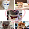 Velvet Bow Collar for Cats, Dogs & Rabbits (S, 17-30cm, Bean Paste)