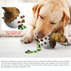 Dinosaur Egg Dog Chew Toy - Tough TPR & Nylon - Green