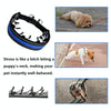 XL Green Dog Training Chain Collar - 60cm, Metal, Durable