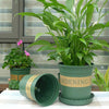 1 Gallon Flower Pots Plant Nursery Pots Plastic Pots Creative Gallons Pots with Tray,Size:17.5*16*16cm