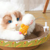 Cactus Cat Teaser Toy with Spring | Scratch Post Attachment