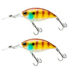 CB034/D 2pcs Inner Laser Deep Dive Sea Fishing Rock Fat Fake Bait Plastic Stiff Bait