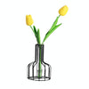 Wrought Iron Hydroponic Green Dried Flower Glass Flower Insert Decoration Without  Fake Flowers( Black)