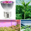 2 PCS LED Plant Growth Lamp Full Spectrum Plant Fill Light Cup, Power: E14 28 Beads