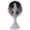 T191006 European and American Wig Headgear with Short and Small Curly Hair for Women (Grey)