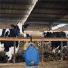 Horse Hay Tote Bag - Double Layer Oxford Cloth (Blue)