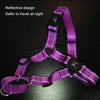 Reflective Dog Harness L Green - Glow Castle Nylon Chest Strap