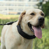 Dog Training Collar with Stimulation Points - Small (35cm)