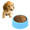 Blue Plastic Pet Bowl - Small/Medium Dogs & Cats