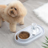 Elevated Dog & Cat Bowls with Automatic Waterer (Grey)