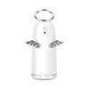 TSHM0 Mini Angel Atomizing Humidifier with Colorful Night Lights, Water Tank Capacity: 230mL (Silver)