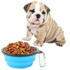 Collapsible Silicone Pet Travel Bowl (13cm, Random Colour)