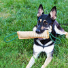 Dog Training Hemp Bite Stick Dog Bite Stick Dog Training Supplies(A2)