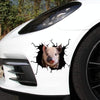 6 PCS Animal Wall Stickers Pig Hoisting Car Window Static Stickers(Pig 01)