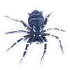 HENGJIA 8cm 7g Lua Spider Soft Bait Bionic Mimic Bait, Color: 5 Colors