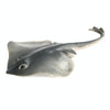 3 PCS Simulation Marine Animal Model Ornaments Rays