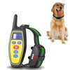 Dog Training Collar - Rechargeable, Waterproof, Shock, Vibration (Yellow)