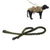 Retractable Dog Leash, Green, 150cm, Telescopic Lead