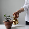 Vintage Brass Gardening Meaty Small Watering Can (Gold)