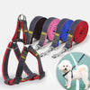 Strong Denim Dog Leash & Chest Strap Set (M, Blue) - BG-Q1025