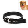 Black Dog Collar, Padded, Adjustable, Large (46-55cm)