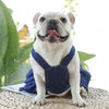 Cat & Small Dog Denim Skirt Harness with Lead, Size L