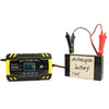 FOXSUR 12V-24V Car Motorcycle Truck ABS Repair Battery Charger AGM Charger, UK Plug