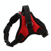 K9 Dog Harness, Red, XL - Adjustable, Breathable & Durable