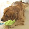 Dog Teething Chew Toy - Durable TPR & Cotton Rope (Green)