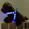 Double Sided LED Light Pet Harness Nylon Cat Dog Chest Strap Leash, Size:S(Blue)