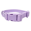 Waterproof Dog Collar, Adjustable, Purple, Medium