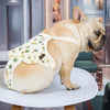 Washable Dog Sanitary Pants, Small, Blue - Hygiene Nappies