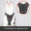 Grey Cat Harness & Leash, M (28-33cm Chest) - Escape Proof