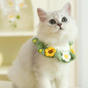 Handmade Knitted Pet Scarf Collar for Cats & Dogs, Small