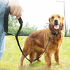 3m Dog Training Leash with Bungee, Padded Handle - Black - Medium/Large Breeds