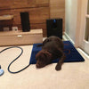 Waterproof Heated Pet Mat 60x45cm, 75W, EU Plug