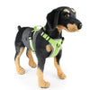 Reflective Dog Harness Vest, Breathable Nylon, Dual Leash, Green, M