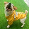 Reflective Dog Raincoat, XL, Fluorescent Yellow - Waterproof & Foldable