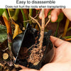 2pcs Plants Growth High Pressure Box Spherical Root Controller Grafting Root Cases, Model: S Green 50mm
