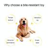 Dog Teething Chew Toy - Durable TPR & Cotton Rope (Green)
