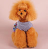 Small Dog Winter Skirt, XL Blue Grey - Bichon, Yorkie, Schnauzer