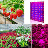 LED Plant Growth Lamp Red Blue Spectrum Flower Fill Light Planting Lamp Room Quantum Plate Plant Light, Power: 81 Beads EU Plug