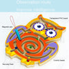3 PCS Magnetic Ball Maze Children Early Education Intellectual Toys(Frog)