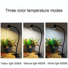 668A001 USB 360 Degree Bend Hose Desk Lamp, Spec: Black Stepless Dimming