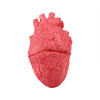 Popular Funny Halloween Props Fake Heart